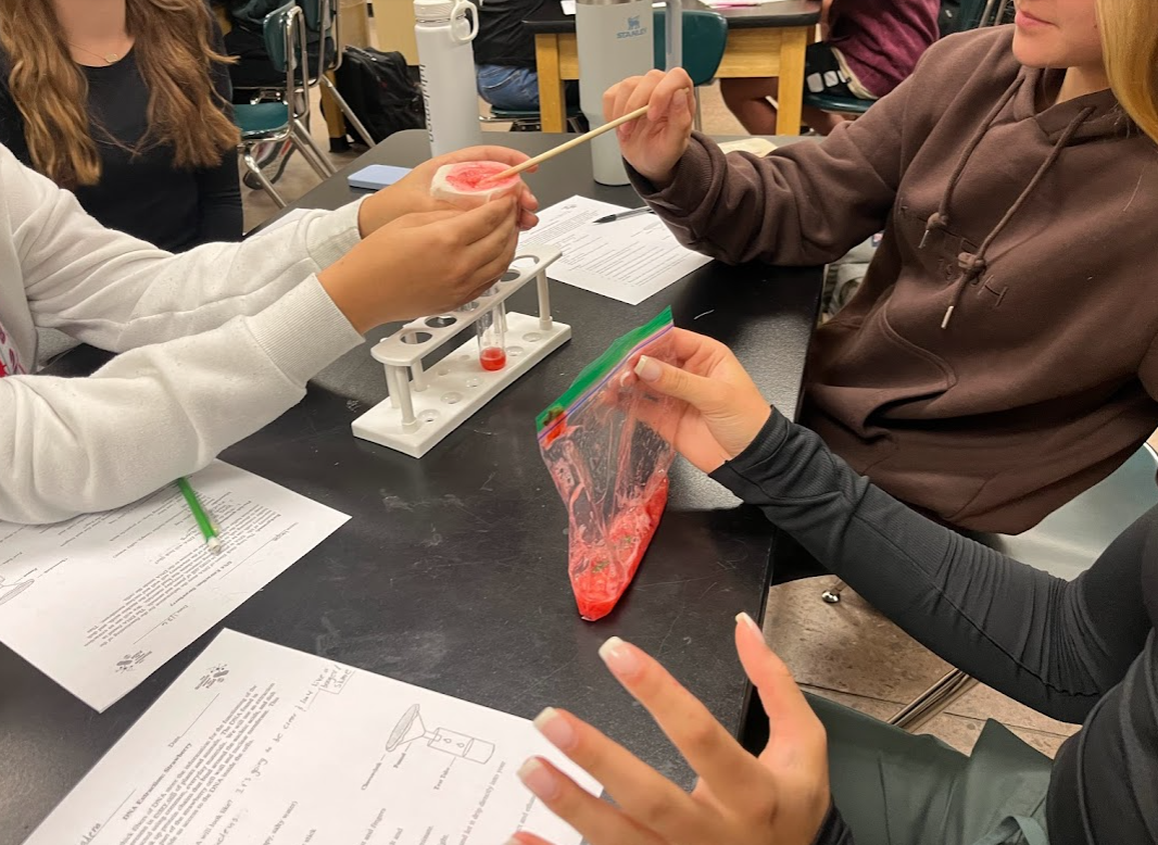 Students working together in a science lab classroom